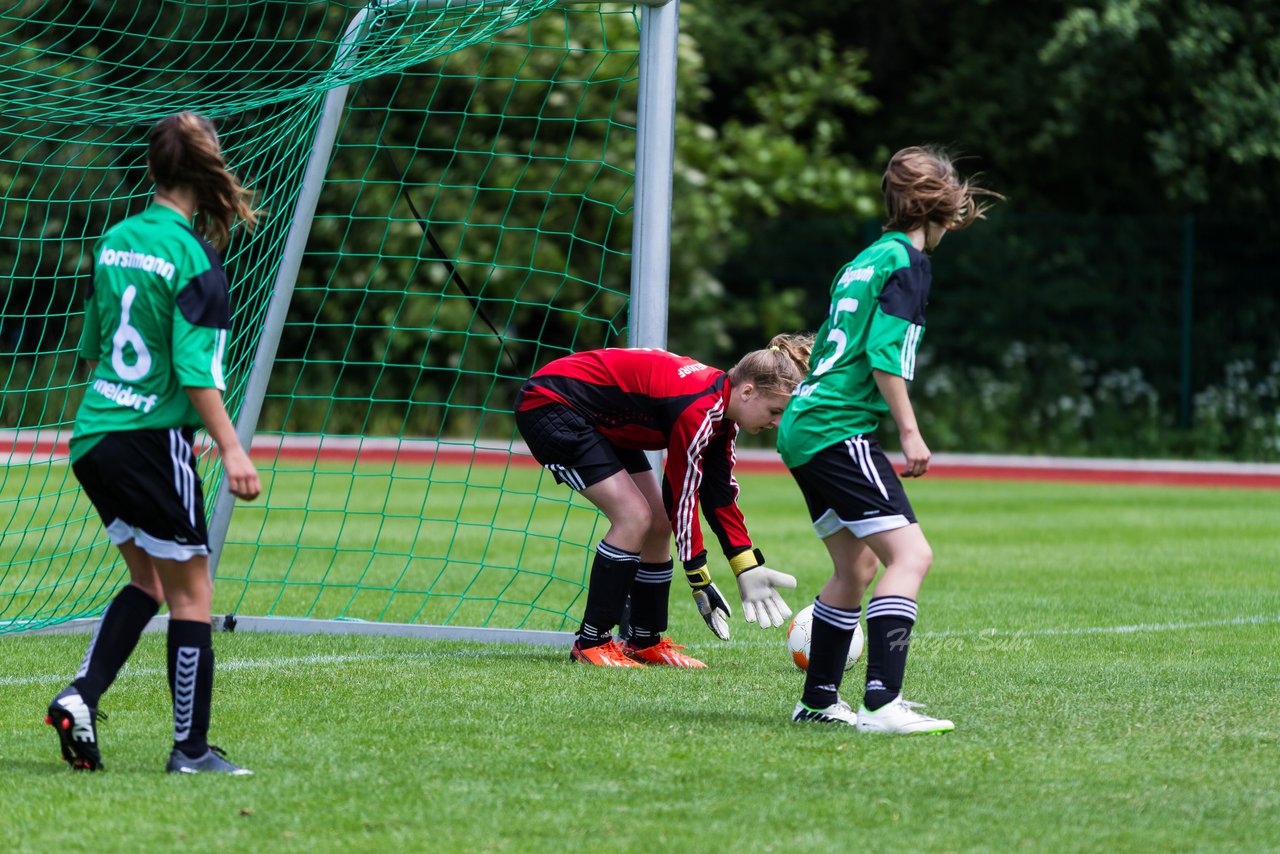 Bild 243 - C-Juniorinnen Landesmeister Finale SV Wahlstedt - TuRa Meldorf : Ergebnis: 1:4